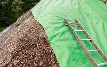 maintaining Tannadice thatch